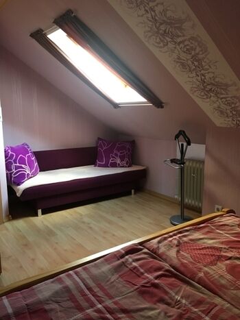 Neues Dachfenster mit Fliegengitter