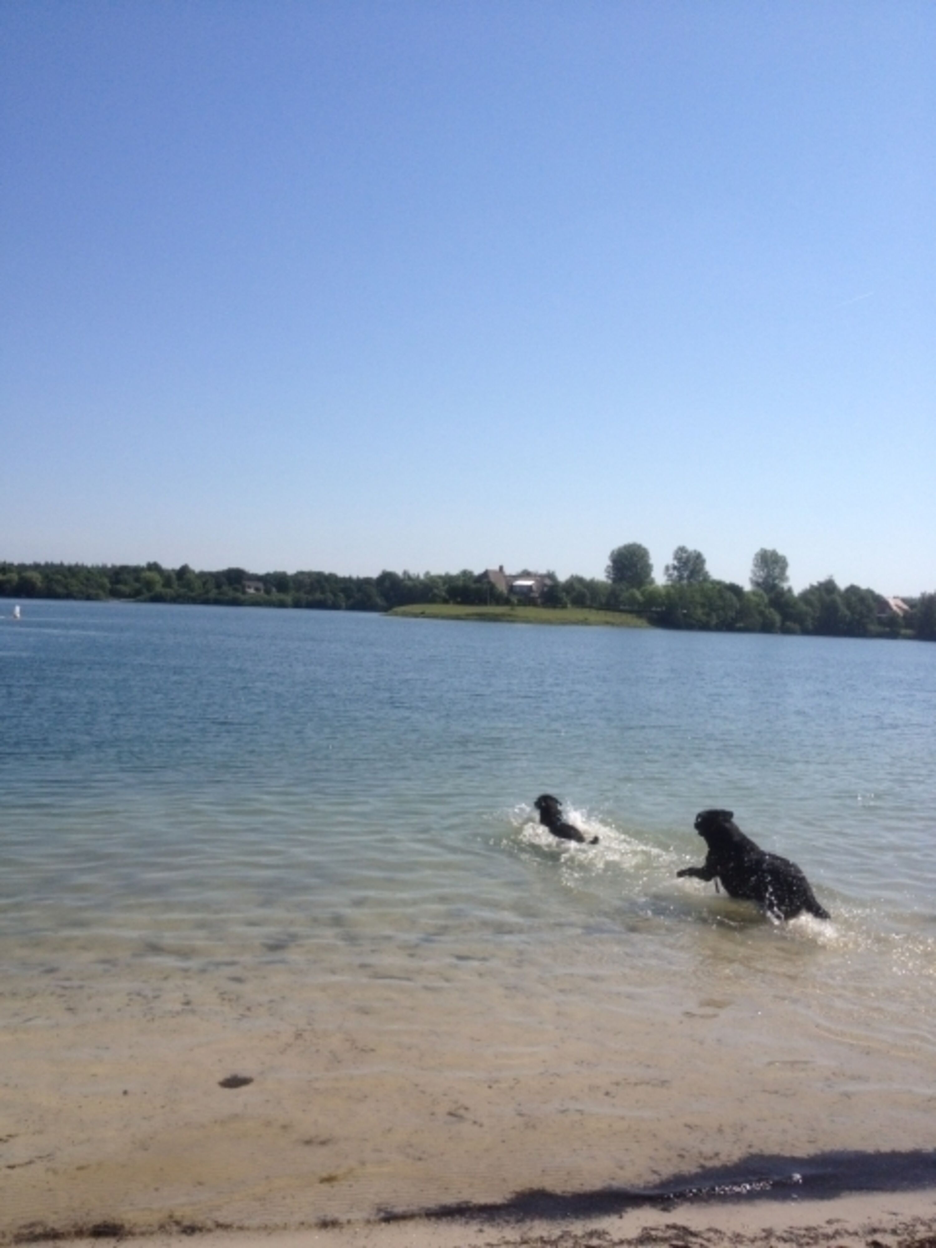 Tannenhausen-mit Hundebadesee