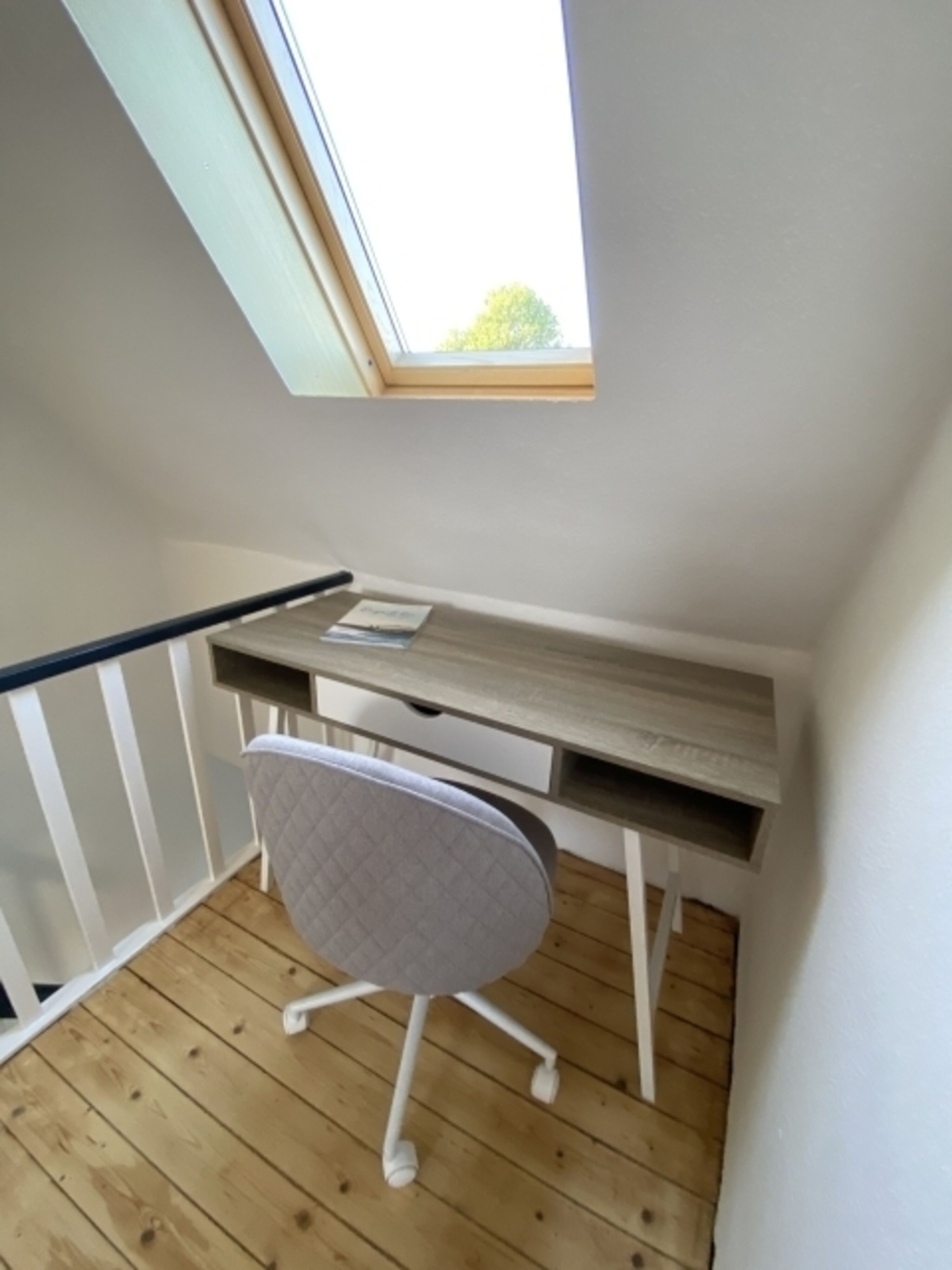 Bild 12