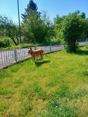 Der Garten vom Ferienhaus