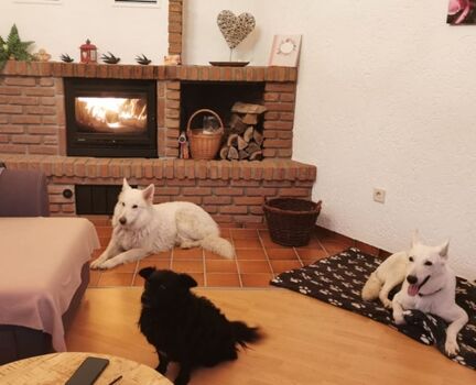 Kaminecke im Wohnbereich 