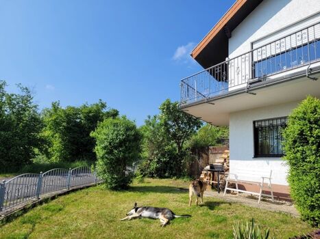 Wohlfühloase für die Hunde 