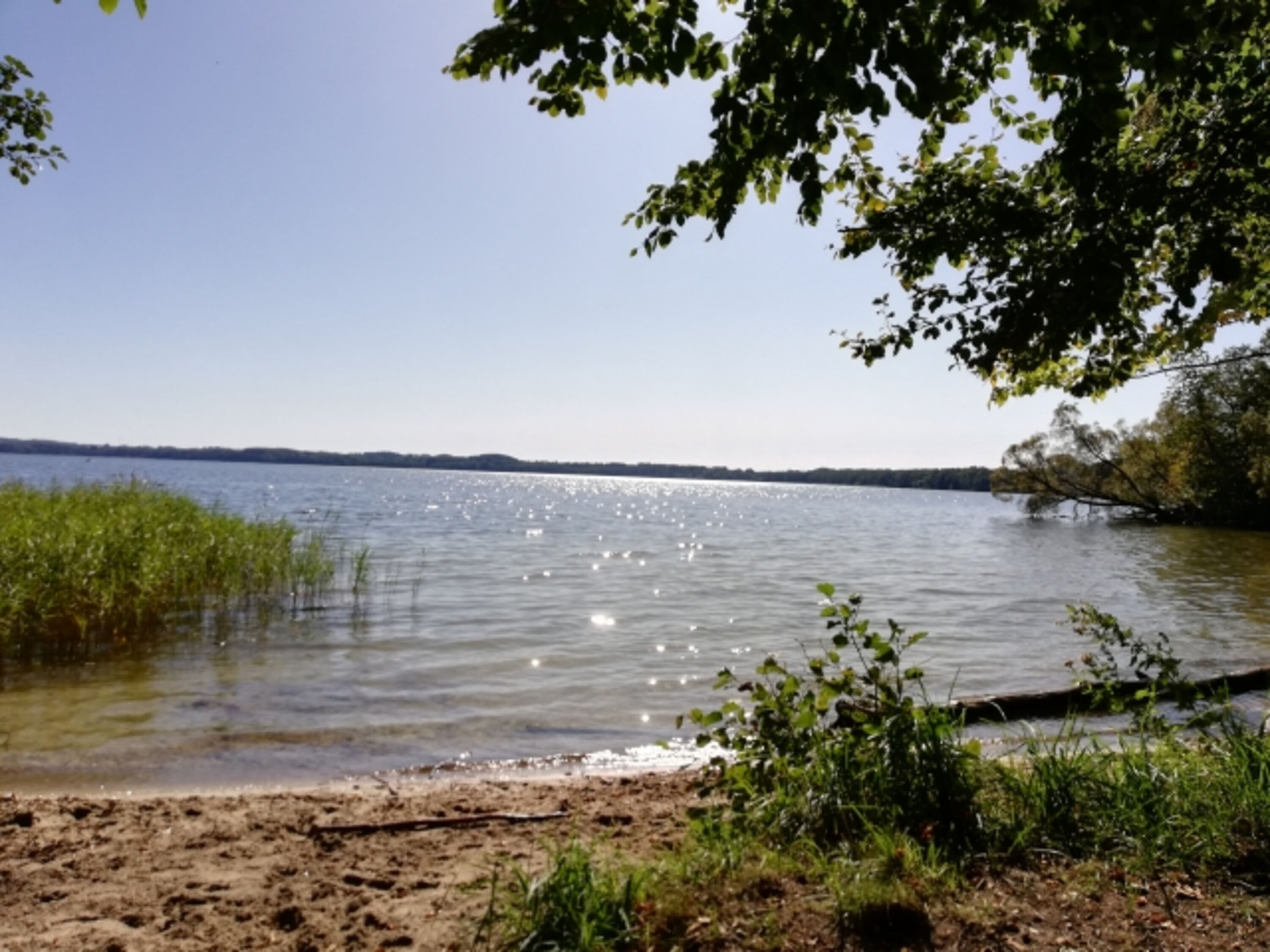 Selenter See