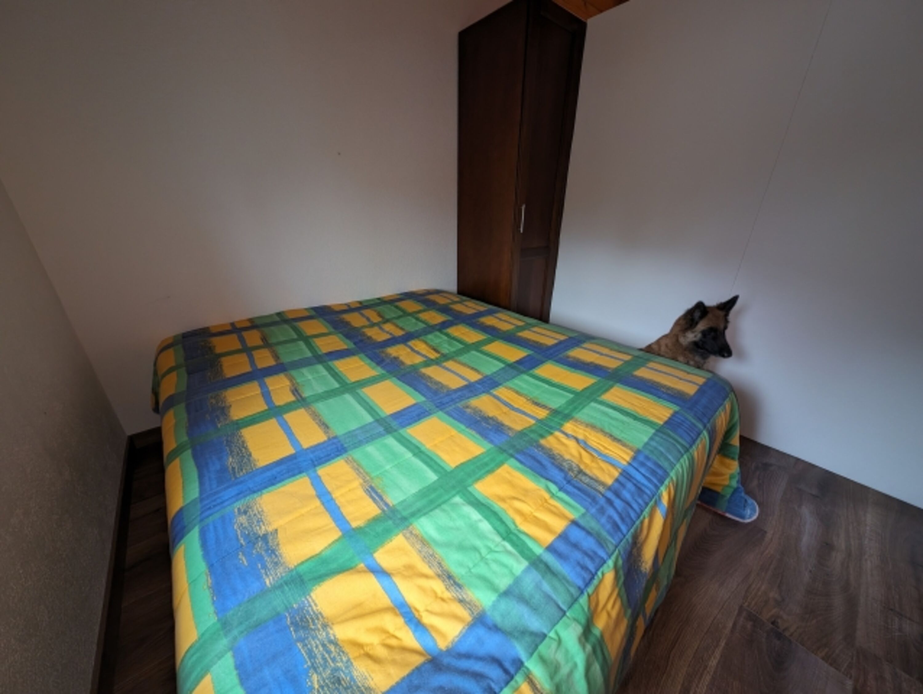 Bild 18