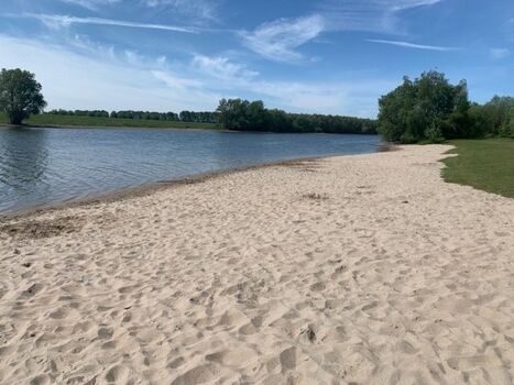 Spaziergang mit Hund