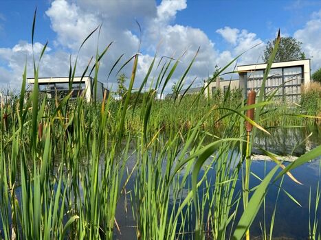 der Park vom Wasser aus und...