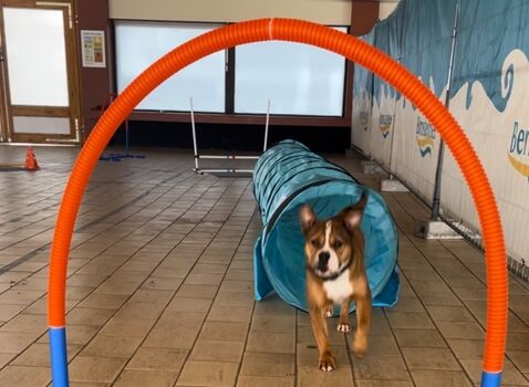 Indoor-Funparcours mit Fotowand und Bällebad