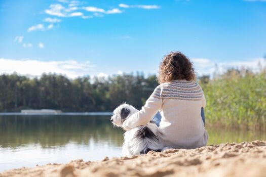 Urlaub mit Hund am Bernsteinsee bei Wolfsburg