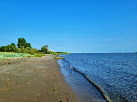 Der Brokdorfer Elb-Strand - keine 5 Minuten vom Haus entfernt