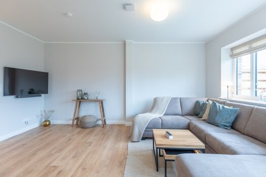 Biikehuus West - Wohnzimmer mit modernem Smart-TV