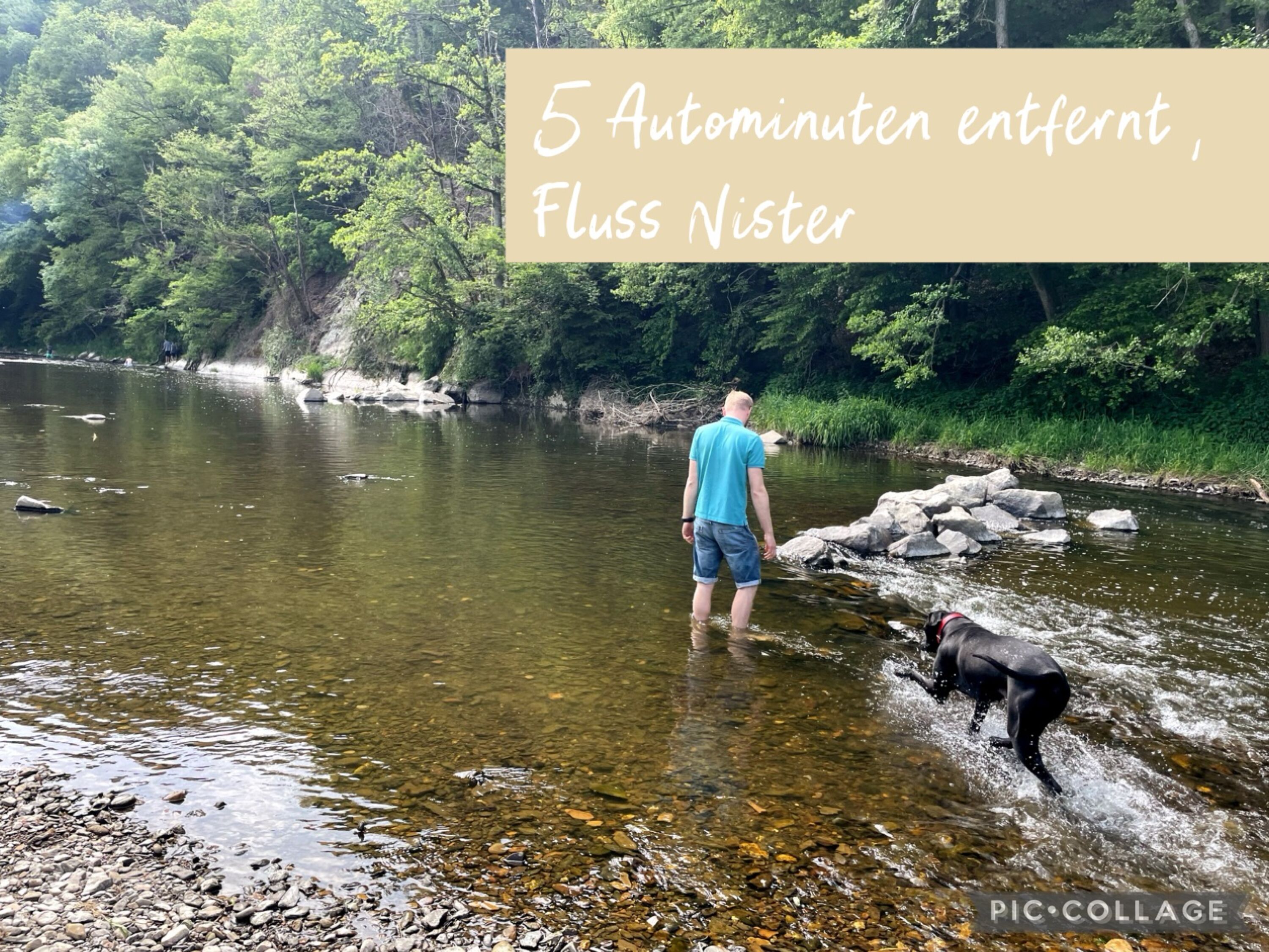 5 Autominuten entfernt Fluss Nister zum Baden