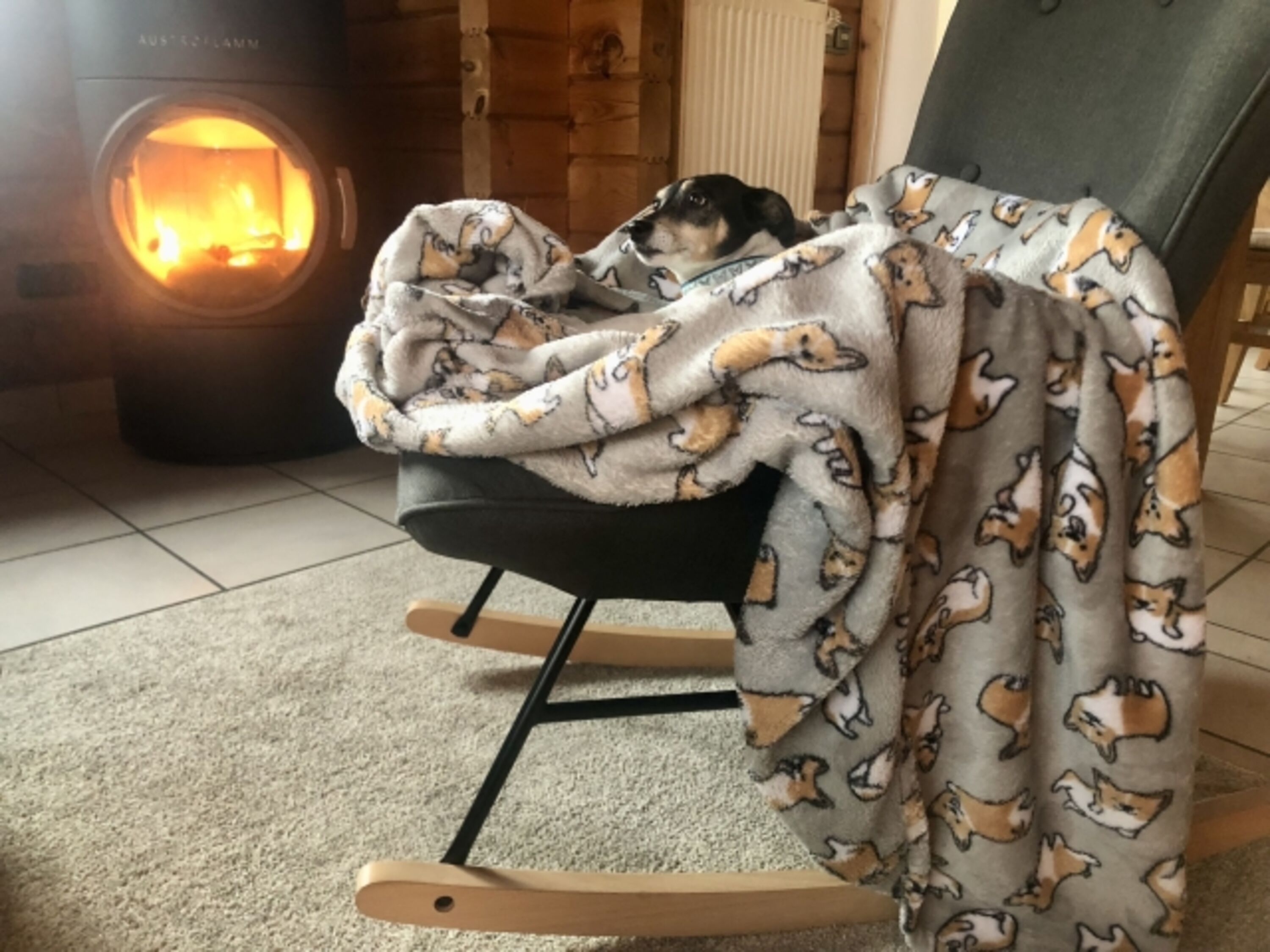 Bilder von unseren Gästen : Kuschelzeit…