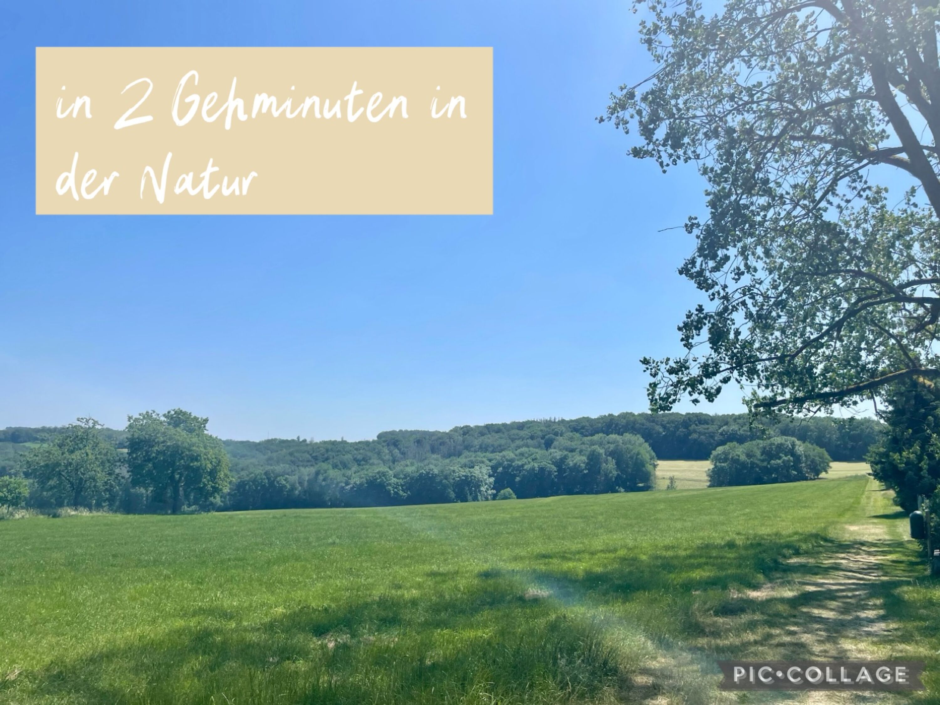Gassiwege ab Haustüre - in 2 Gehminuten in der Natur