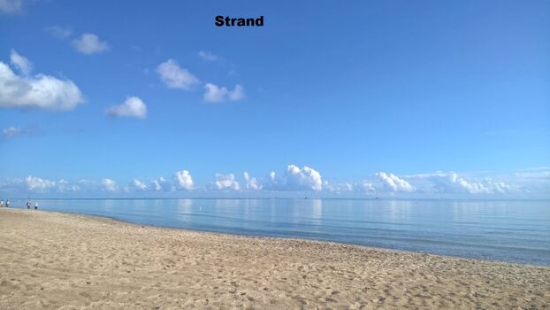 Strand 