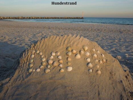 Hundestrand