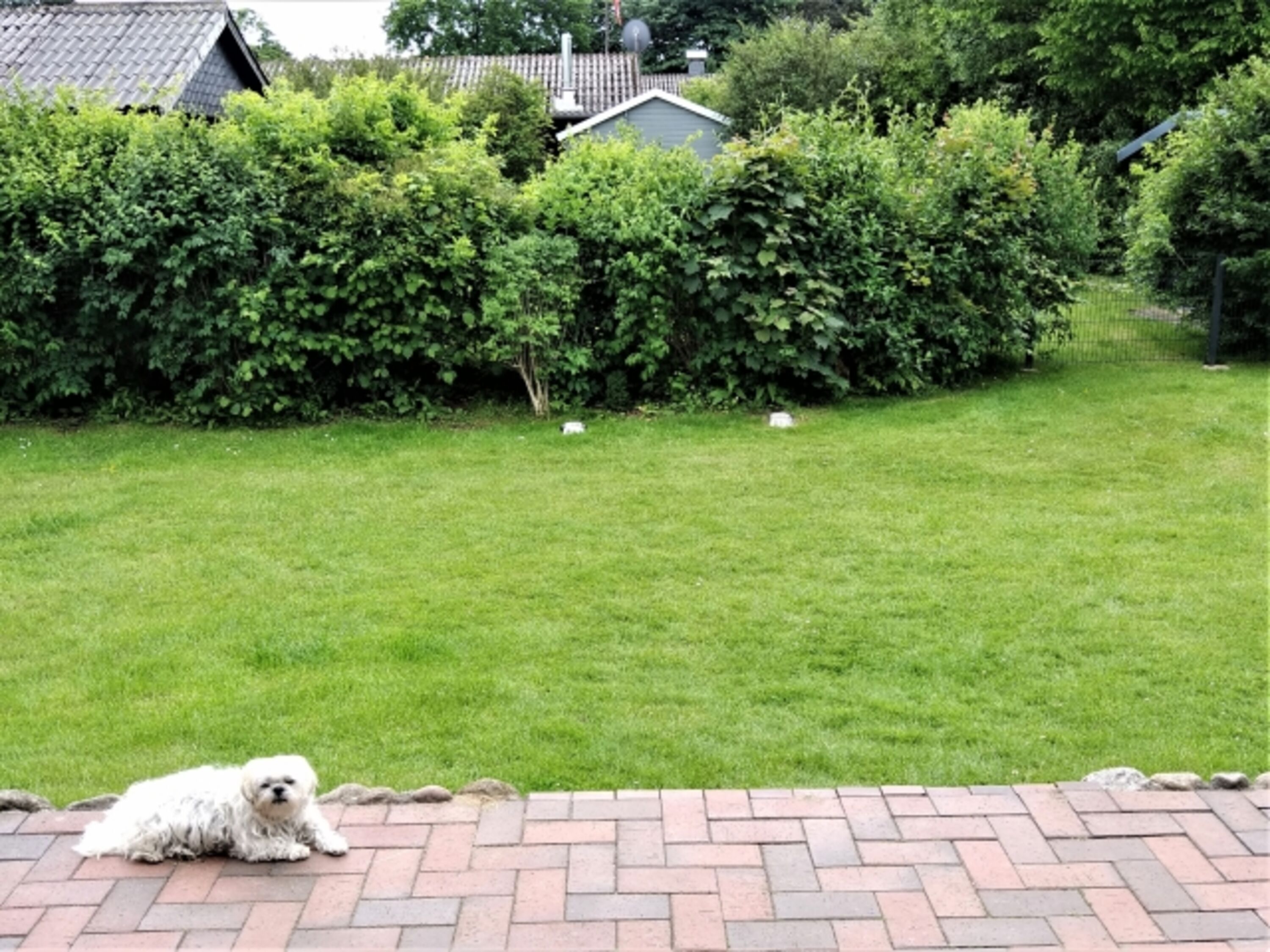 Blick in den Garten