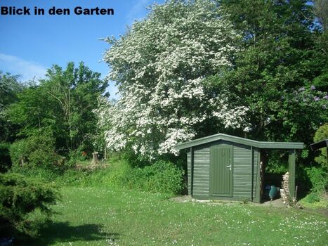Blick in den Garten