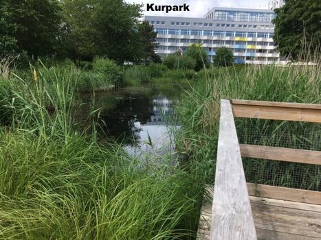 Kurpark