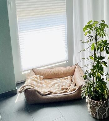 Körbchen für Hunde bis ca. 15kg