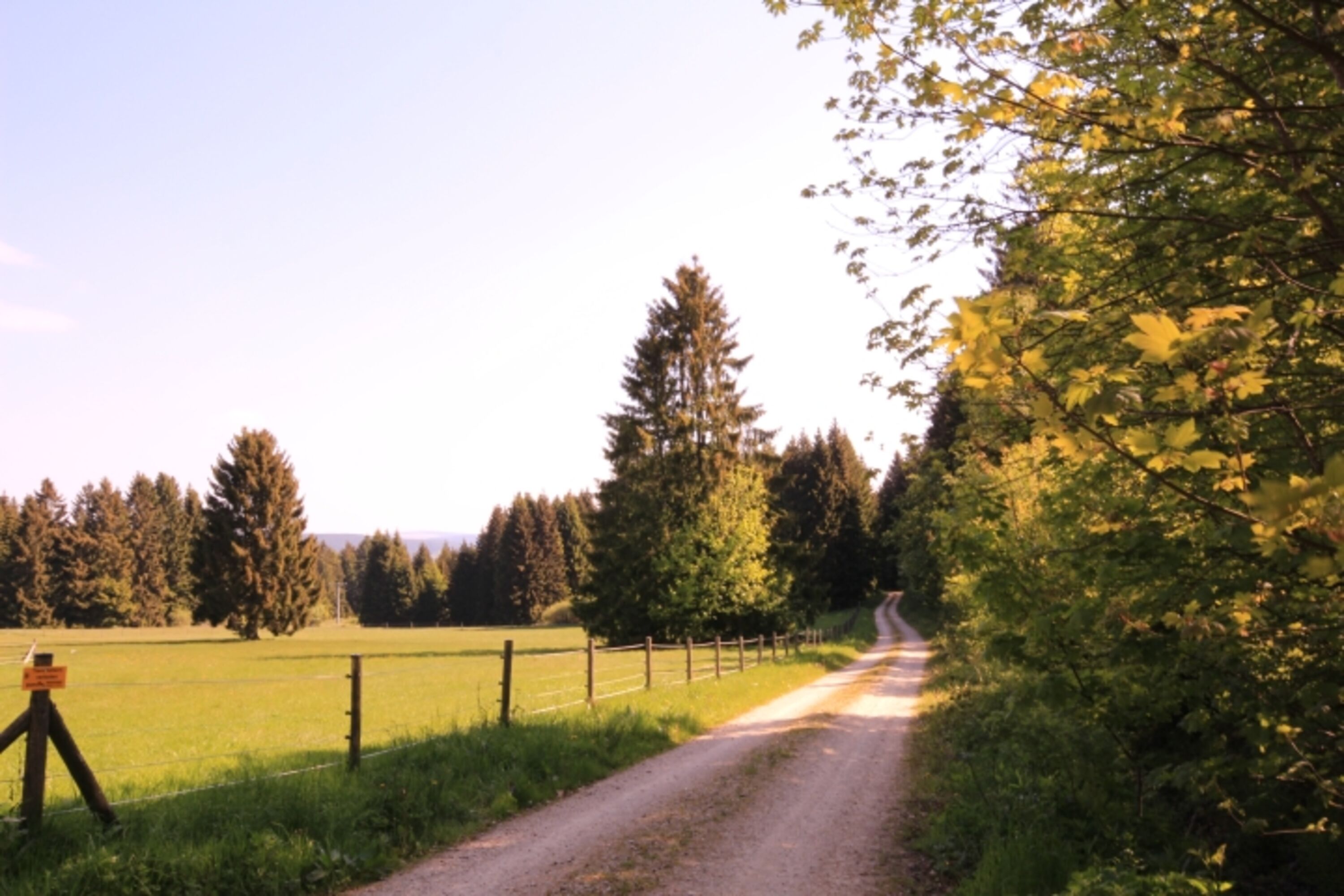 Bild 16