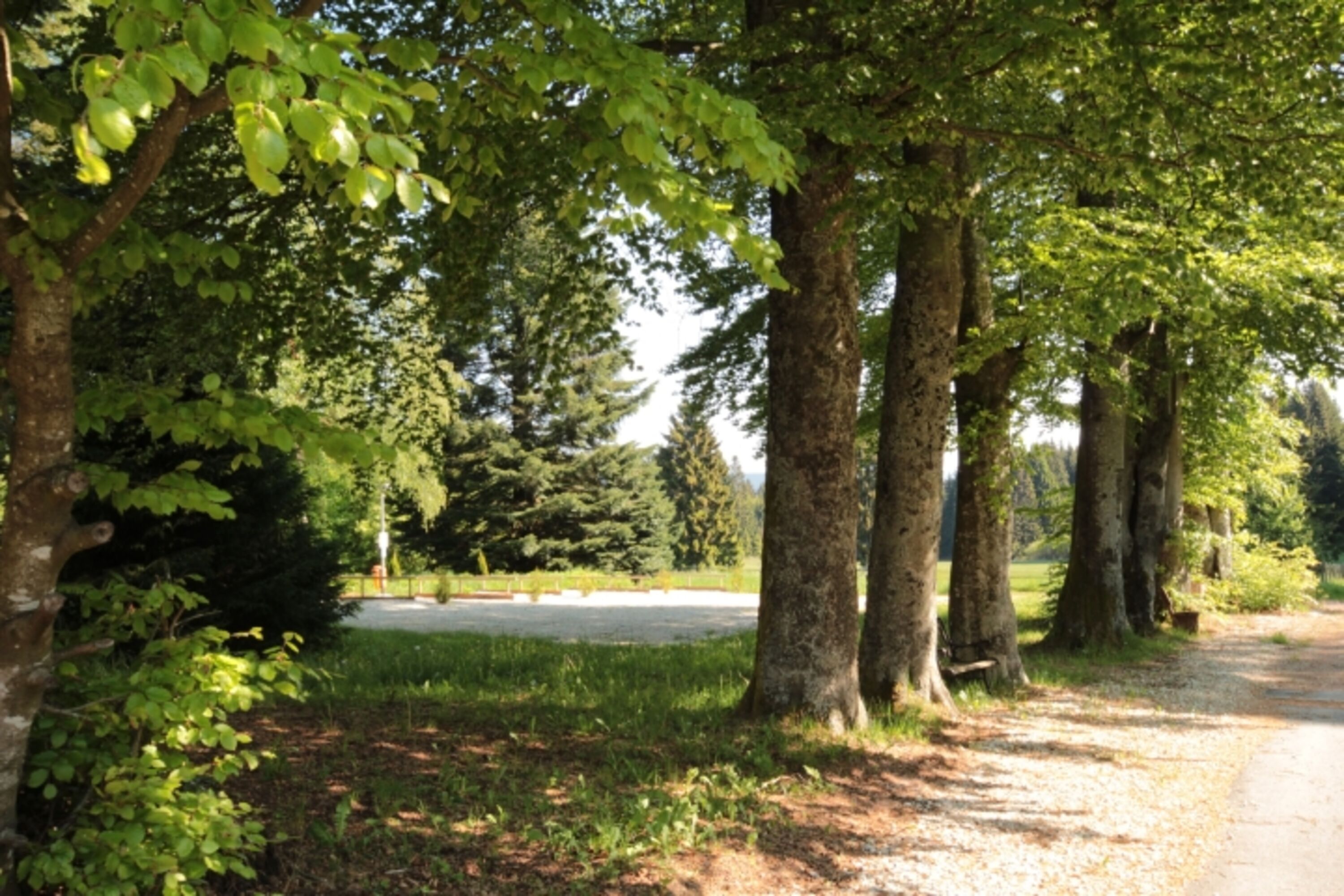 Bild 18