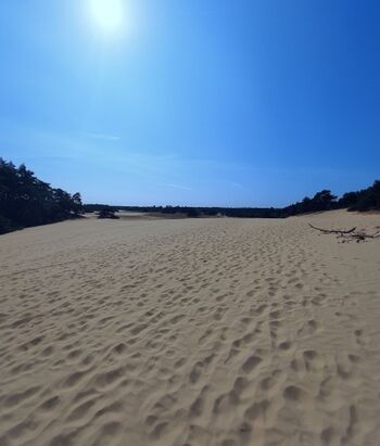 WANDERER Hulzhorster Zand 