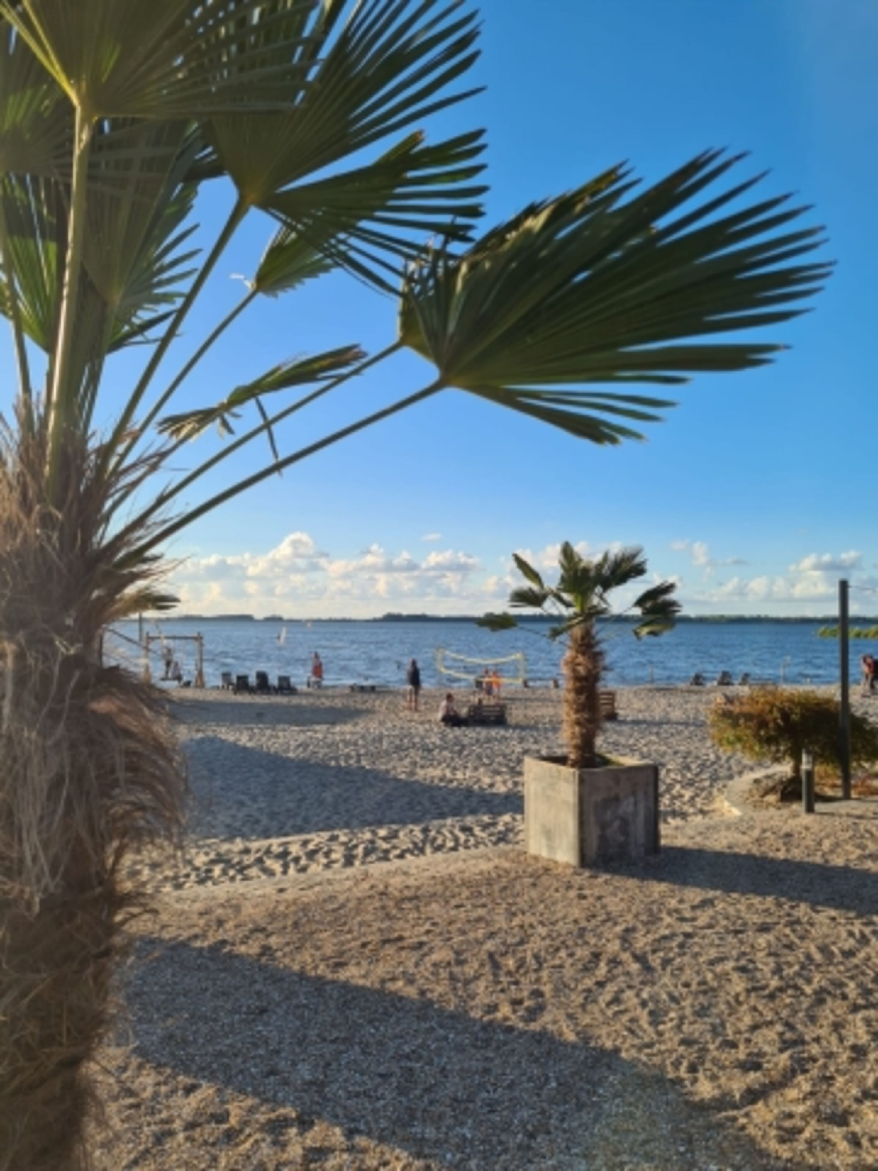Bild 16