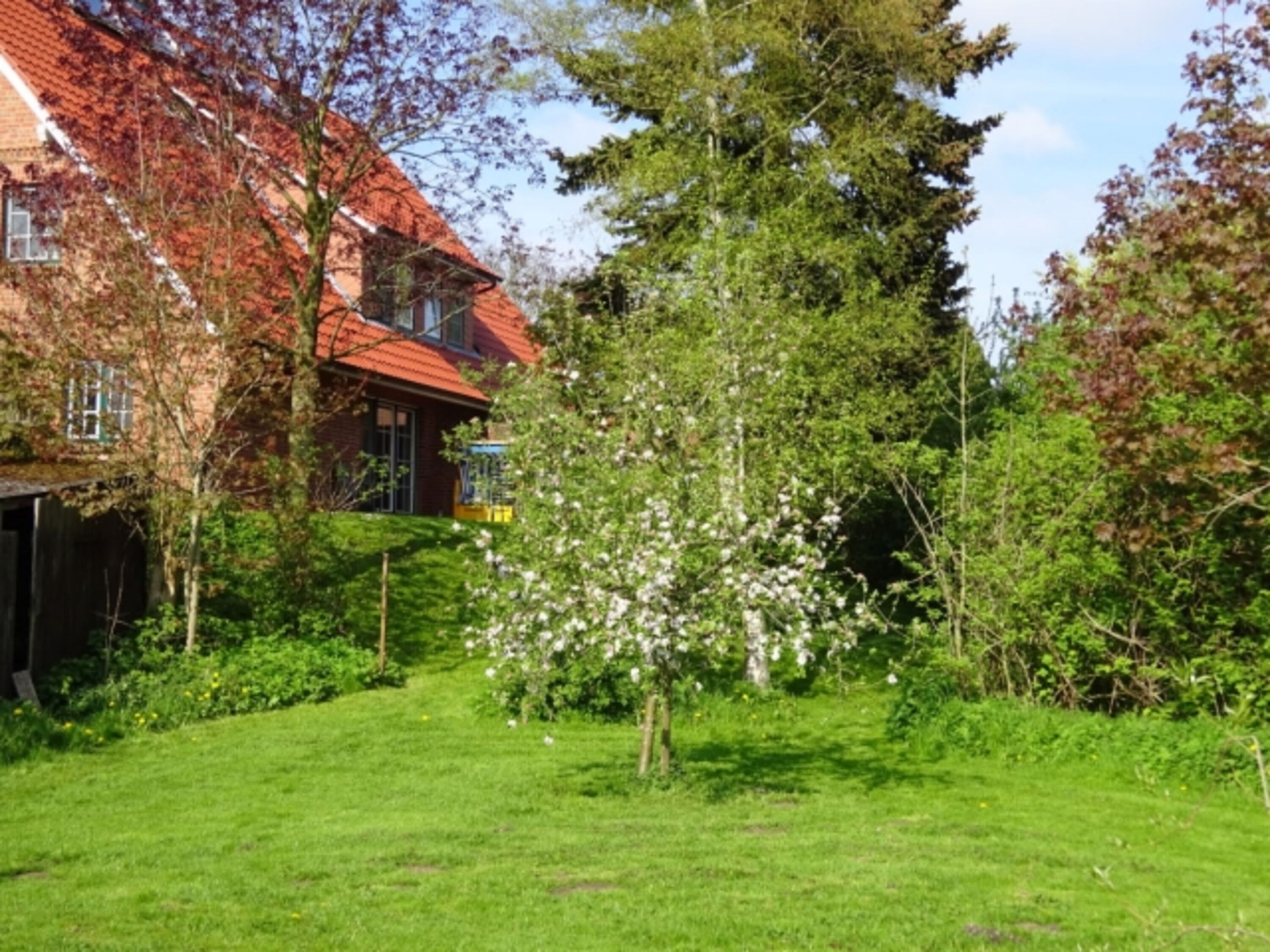Bild 18