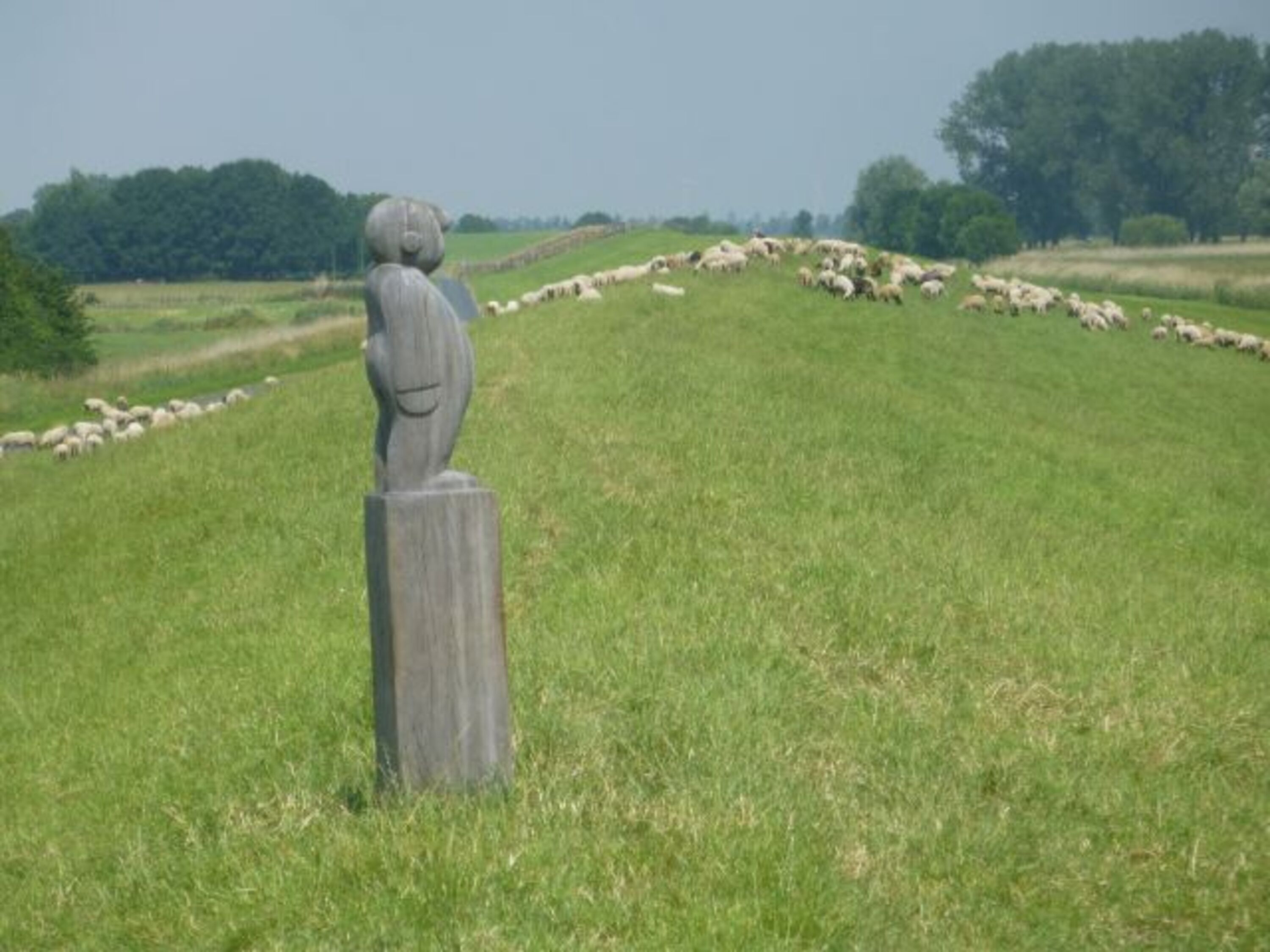 Bild 16