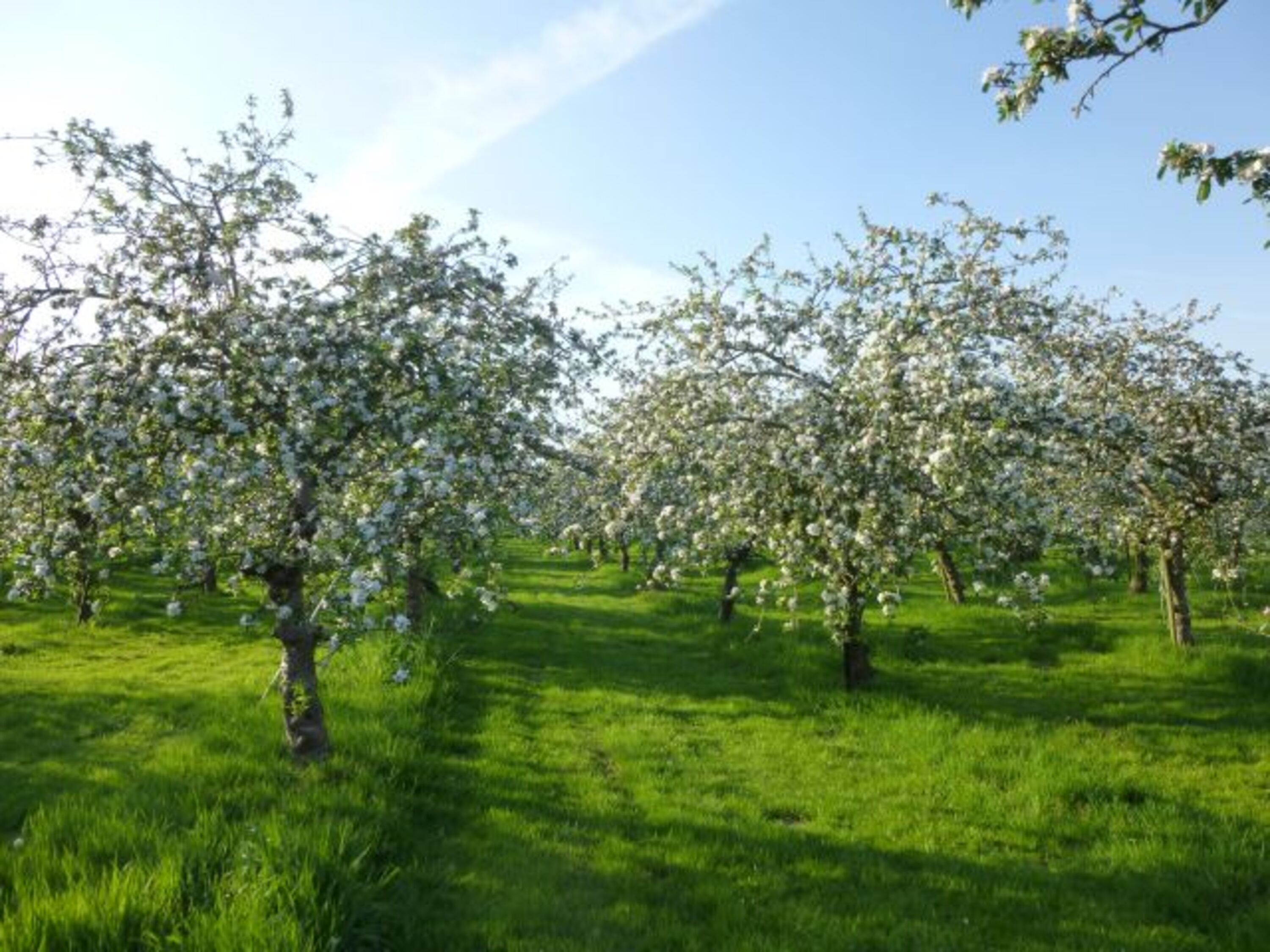 Bild 11