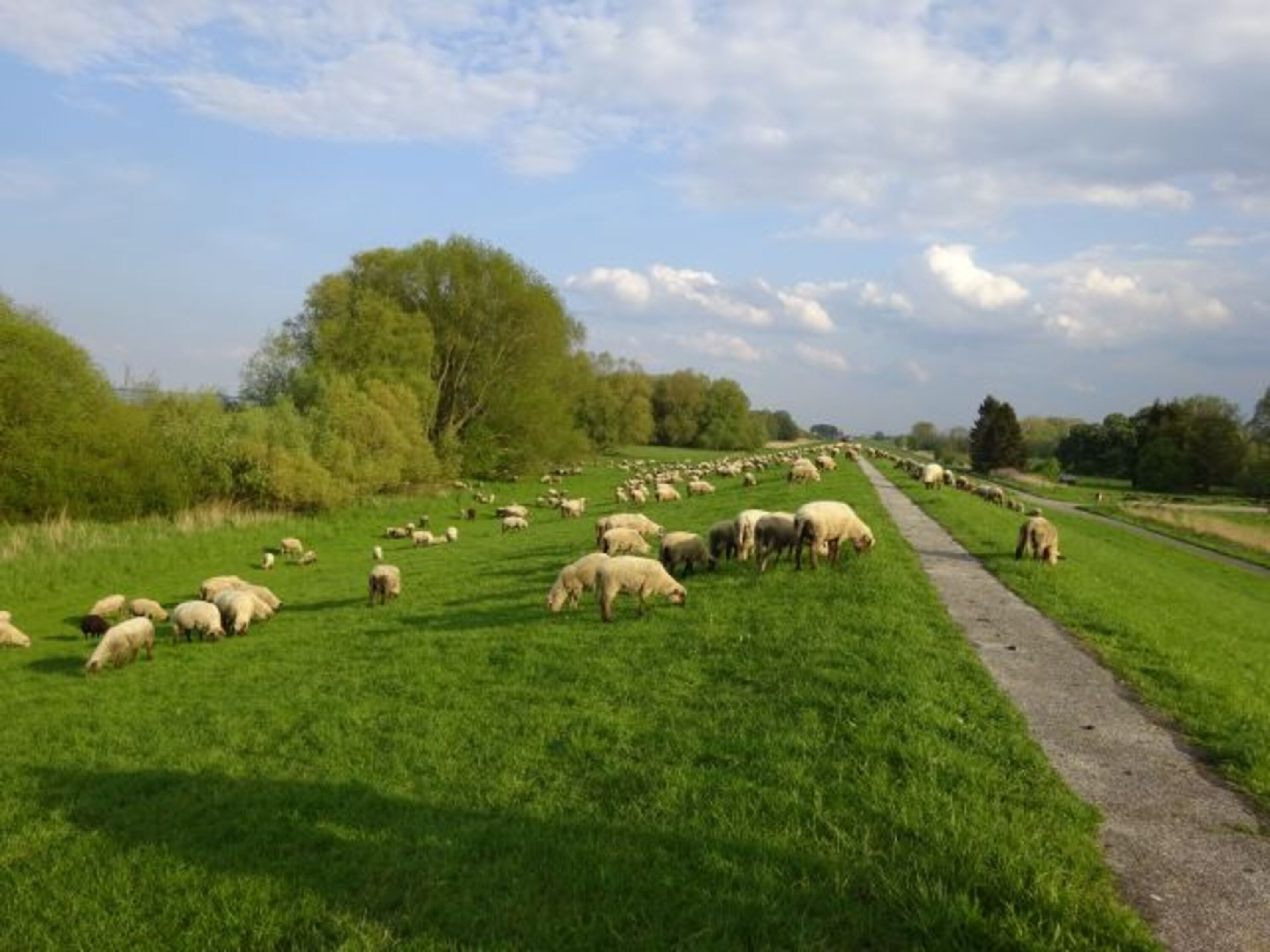 Bild 15