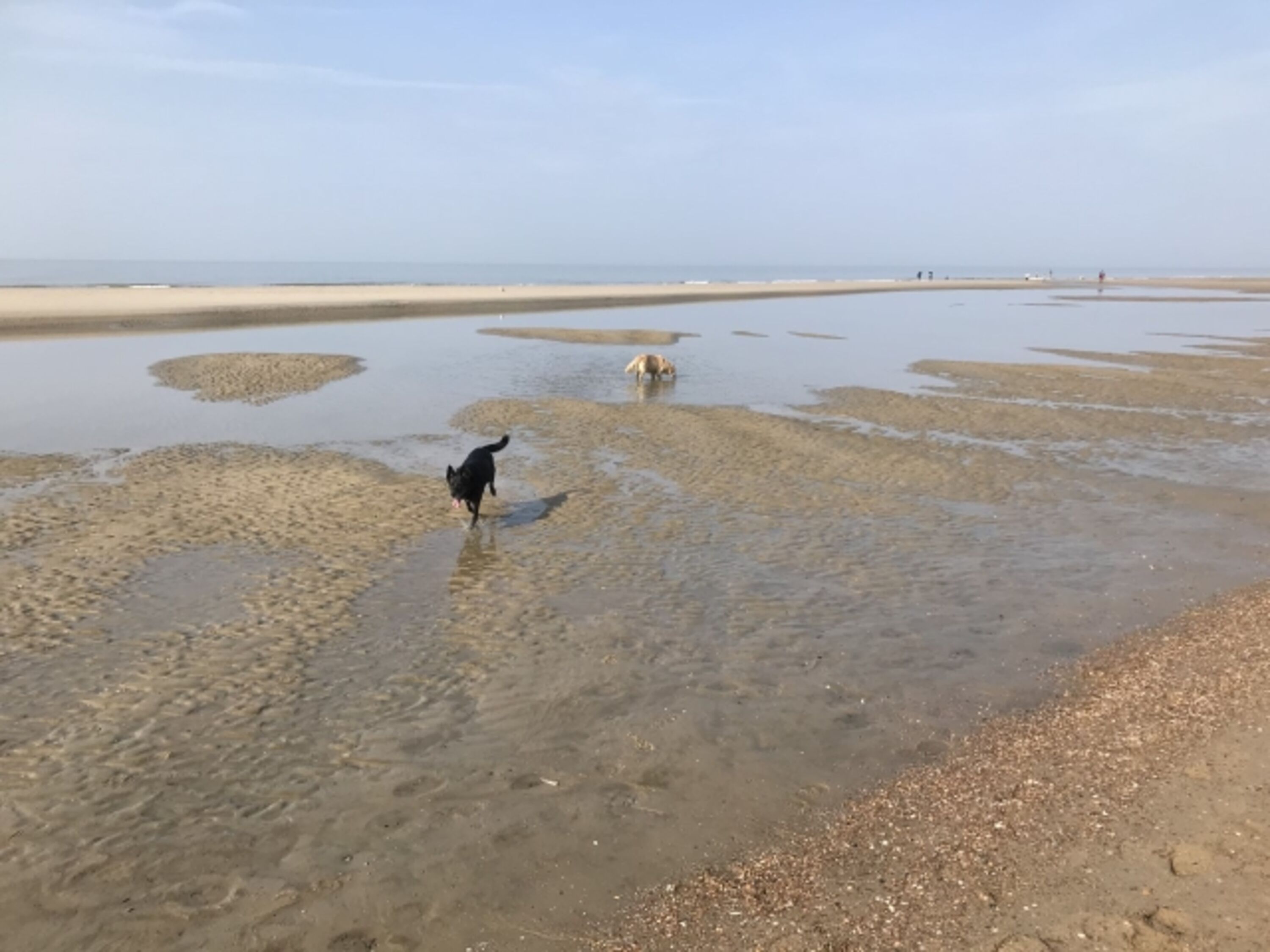 Banjaardstrand