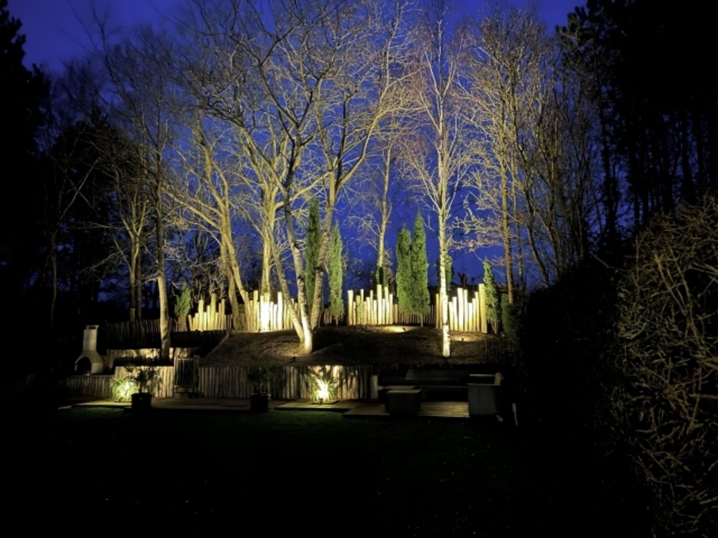Garden by night