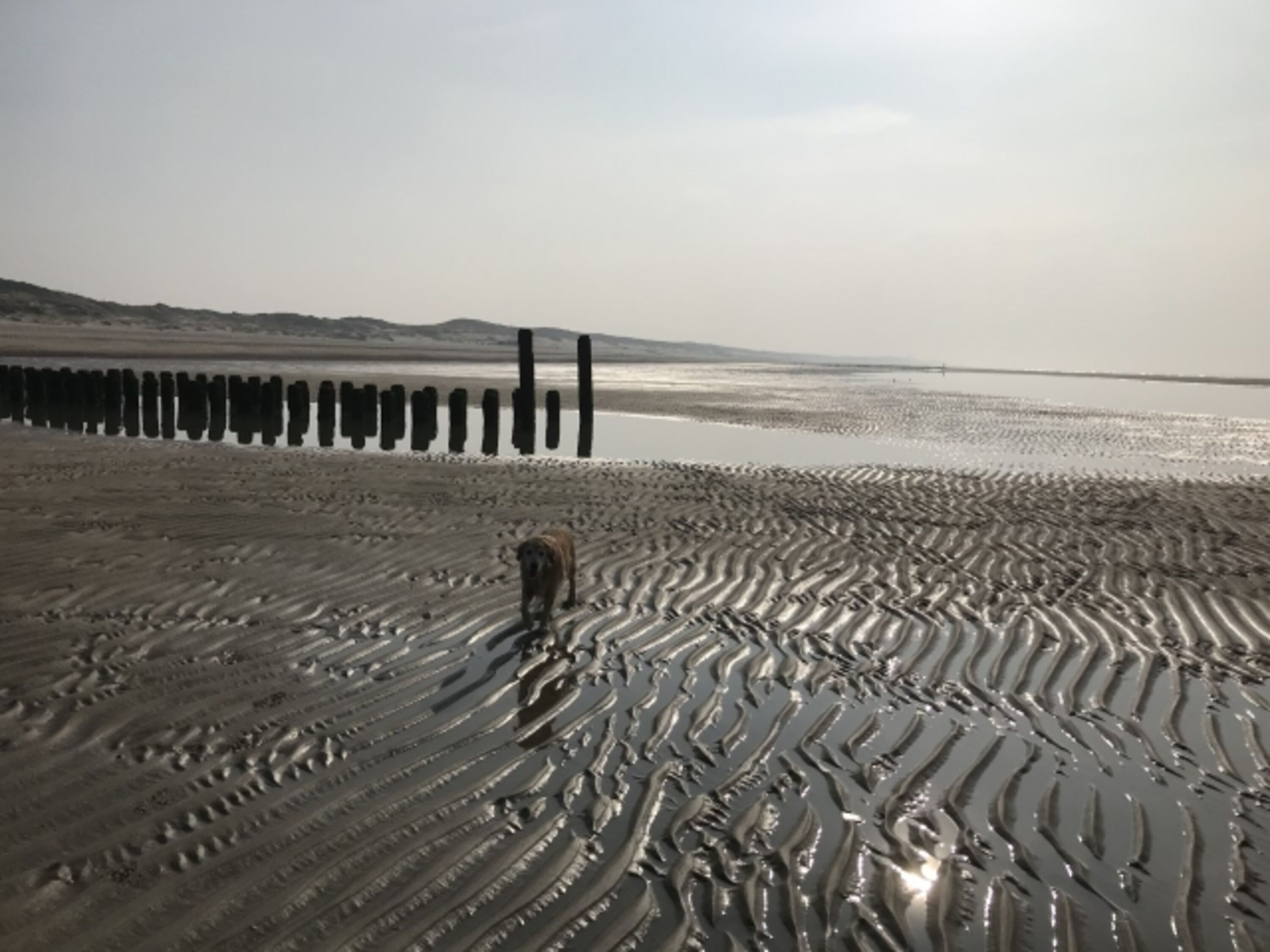 Banjaardstrand