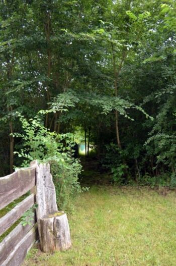von Garten aus direkt in den Wald