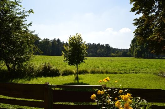 Aussicht direkt von der Terrasse aus