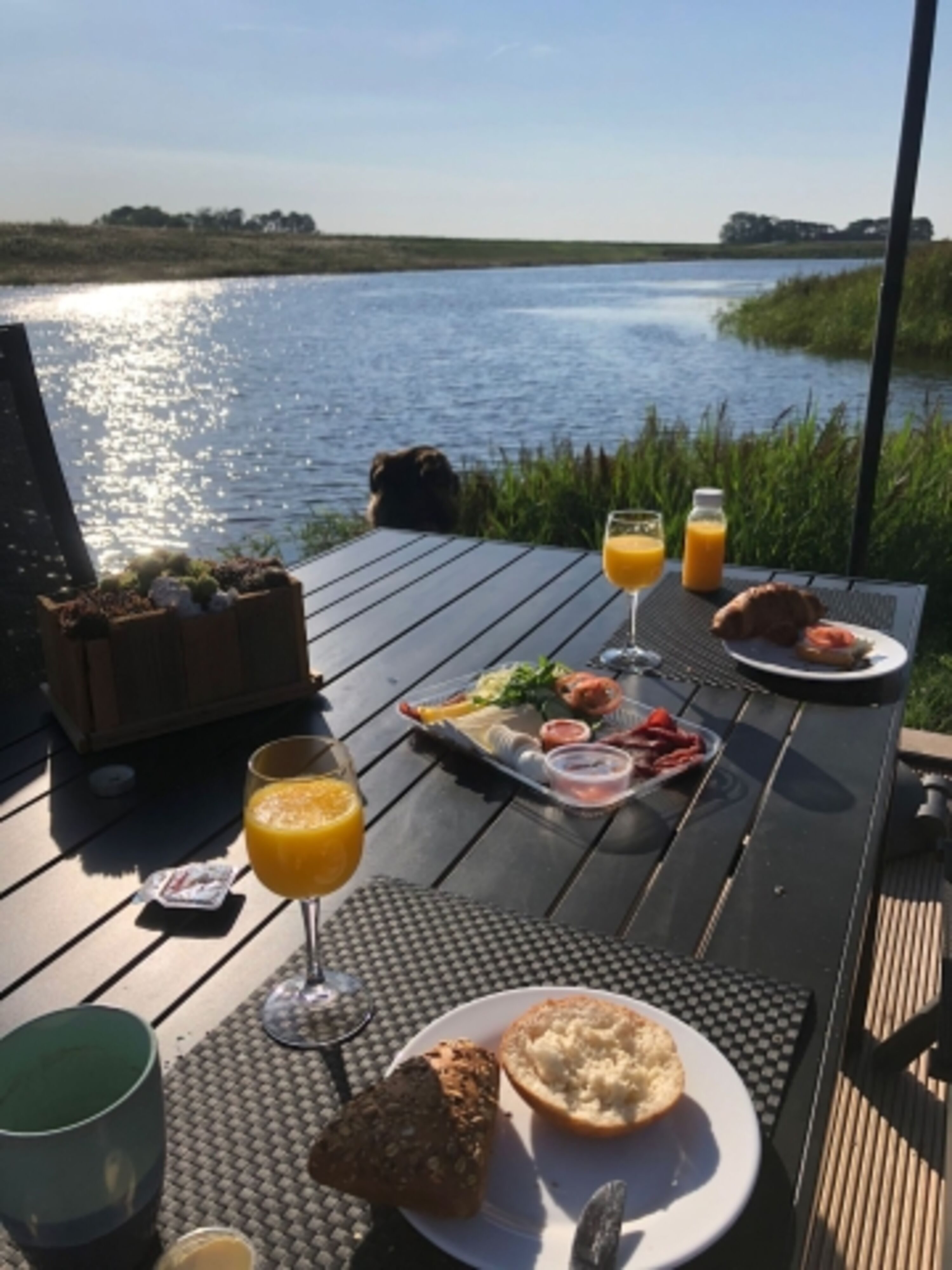 Frühstück am Steg