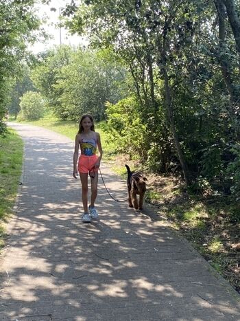 Fußweg zum Hundestrand