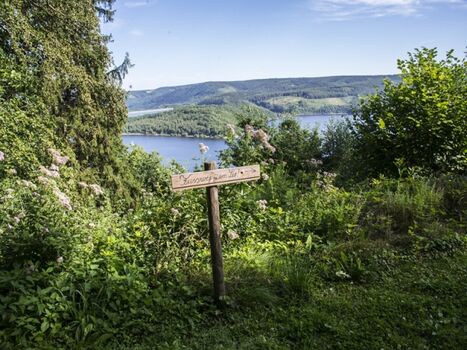 Ferienhaus Waldhaus Anne - Seeweg