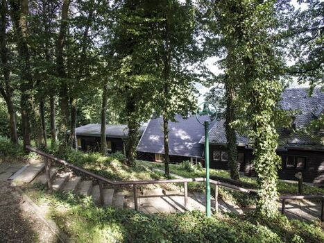 Ferienhaus Waldhaus Anne - Außenansicht