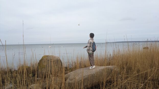 Entdeckungstour am Strand