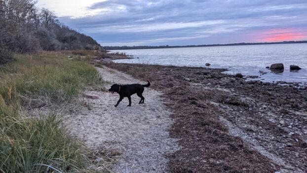 abgelegene Strände - ideal für Hunde