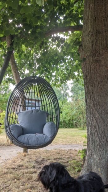 Ein Sessel zum abhängen unter der Linde