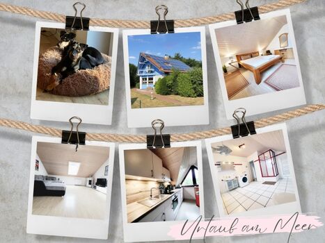 Urlaub am Meer mit Hund(en) in direkter Lage zu St. Peter-Ording