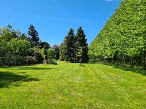 Der Hochdorfer Garten liegt in unmittelbarer Nähe und lädt zur Entspannung ein.