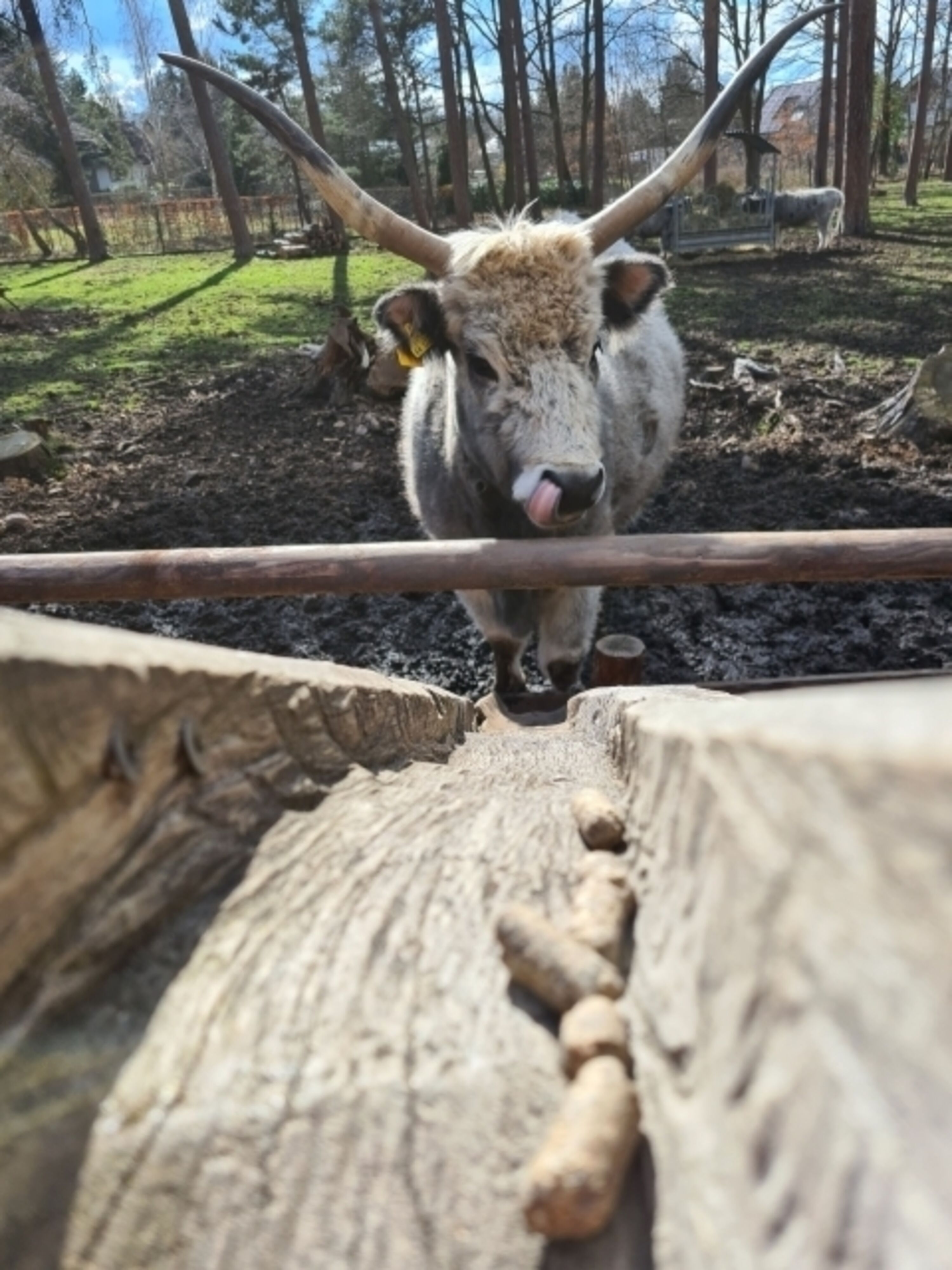Hochwildpark 