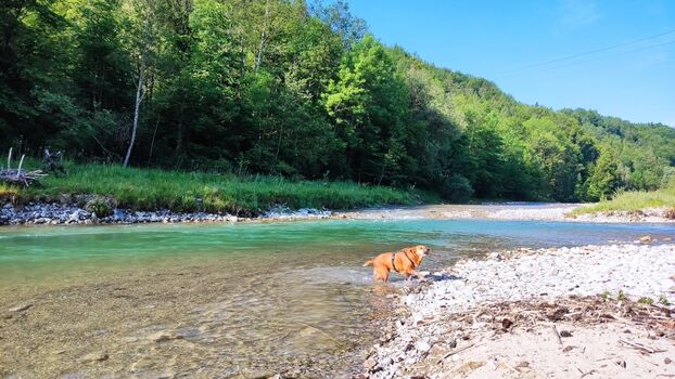 Die Ammer bei uns im Ort