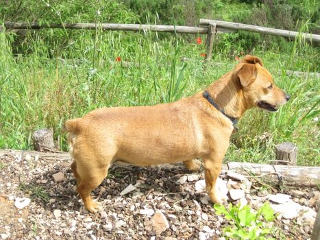 Alles muss erkundet werden! 