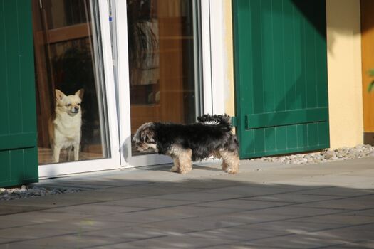 Wollte mal hallo sagen!