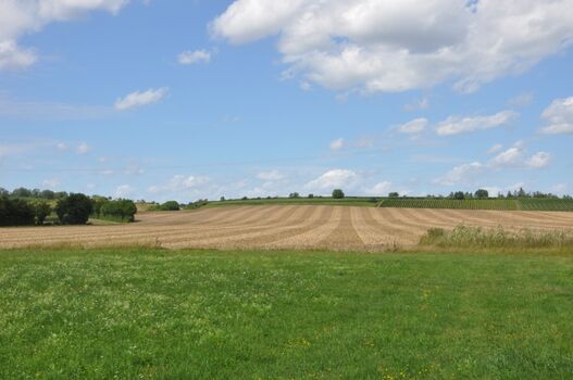 Erholung und Ruhe pur